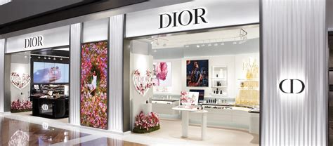 the bay Dior makeup